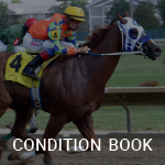 View Condition Books on Equibase