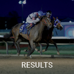 See the Summary Results Calendar on Equibase