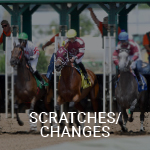 See Scratches & Changes on Equibase
