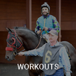 View the workouts calendar on Equibase